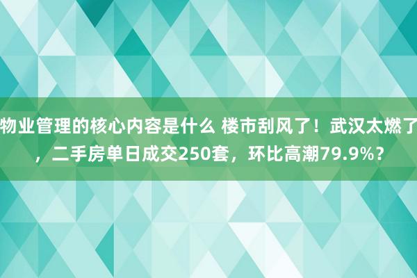 物业管理的核心内容是什么 楼市刮风了！武汉太燃了，二手房单日成交250套，环比高潮79.9%？