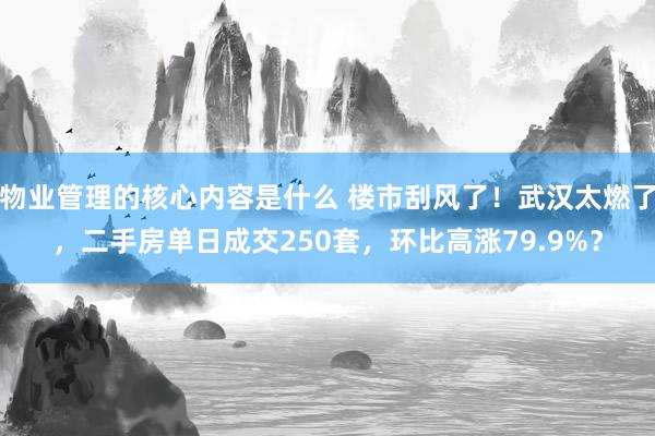 物业管理的核心内容是什么 楼市刮风了！武汉太燃了，二手房单日成交250套，环比高涨79.9%？