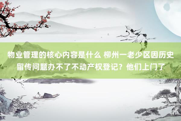 物业管理的核心内容是什么 柳州一老少区因历史留传问题办不了不动产权登记？他们上门了