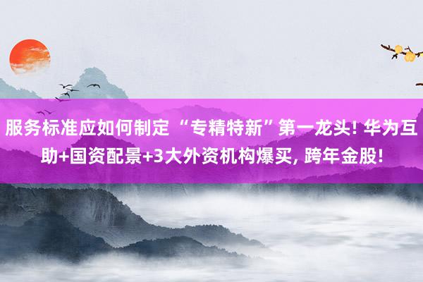 服务标准应如何制定 “专精特新”第一龙头! 华为互助+国资配景+3大外资机构爆买, 跨年金股!