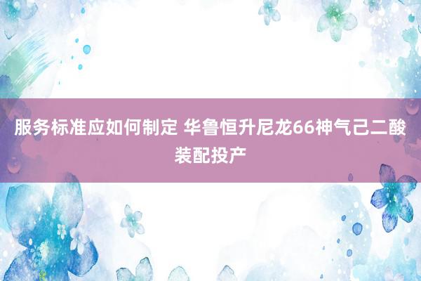 服务标准应如何制定 华鲁恒升尼龙66神气己二酸装配投产