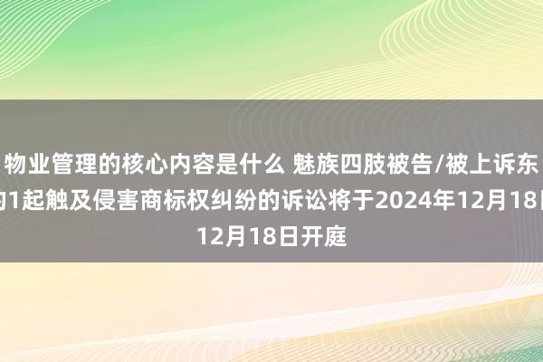 物业管理的核心内容是什么 魅族四肢被告/被上诉东谈主的1起触及侵害商标权纠纷的诉讼将于2024年12月18日开庭