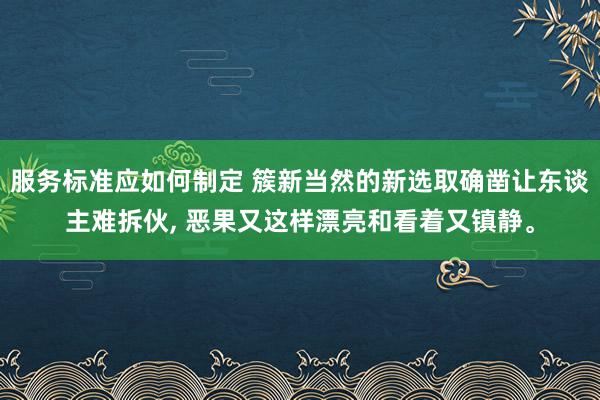 服务标准应如何制定 簇新当然的新选取确凿让东谈主难拆伙, 恶果又这样漂亮和看着又镇静。