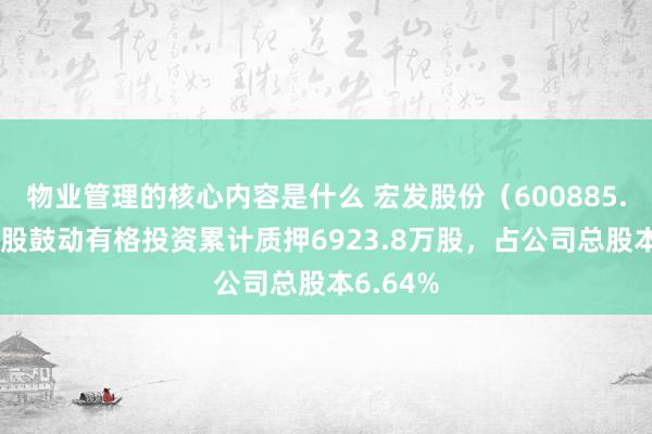 物业管理的核心内容是什么 宏发股份（600885.SH）控股鼓动有格投资累计质押6923.8万股，占公司总股本6.64%