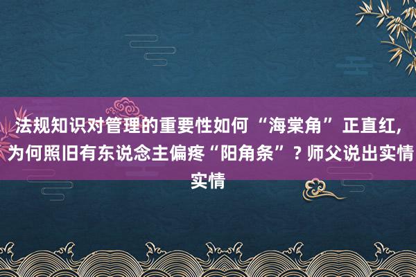 法规知识对管理的重要性如何 “海棠角” 正直红, 为何照旧有东说念主偏疼“阳角条” ? 师父说出实情