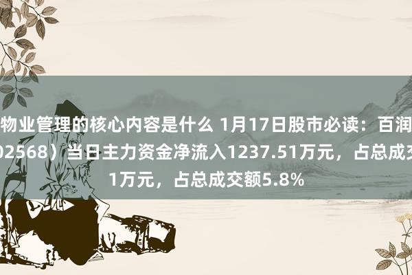 物业管理的核心内容是什么 1月17日股市必读：百润股份（002568）当日主力资金净流入1237.51万元，占总成交额5.8%