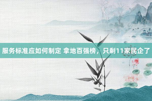 服务标准应如何制定 拿地百强榜，只剩11家民企了