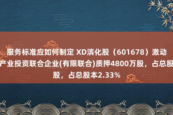 服务标准应如何制定 XD滨化股（601678）激动滨州和宜产业投资联合企业(有限联合)质押4800万股，占总股本2.33%