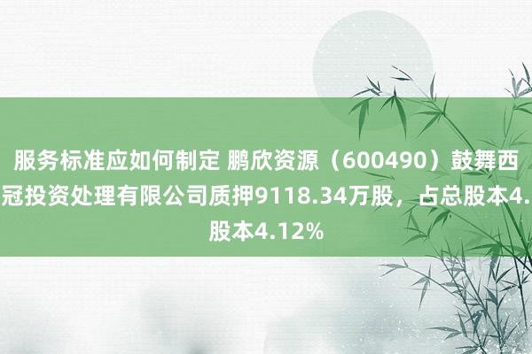 服务标准应如何制定 鹏欣资源（600490）鼓舞西藏智冠投资处理有限公司质押9118.34万股，占总股本4.12%