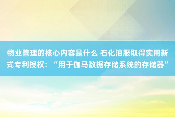 物业管理的核心内容是什么 石化油服取得实用新式专利授权：“用于伽马数据存储系统的存储器”