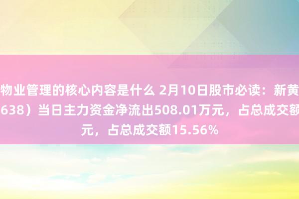 物业管理的核心内容是什么 2月10日股市必读：新黄浦（600638）当日主力资金净流出508.01万元，占总成交额15.56%