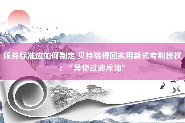 服务标准应如何制定 贝特瑞得回实用新式专利授权：“异物过滤斥地”