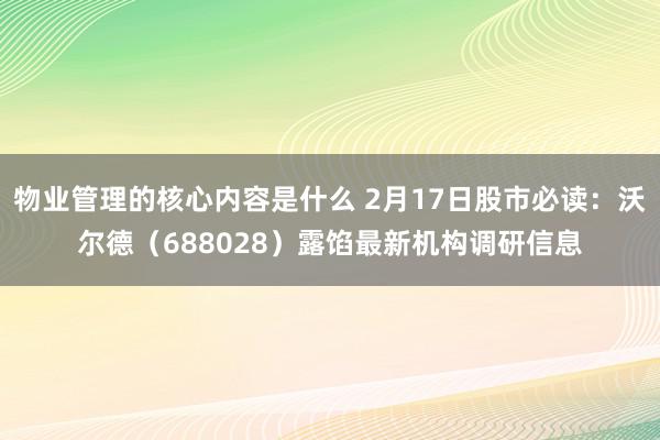 物业管理的核心内容是什么 2月17日股市必读：沃尔德（688028）露馅最新机构调研信息